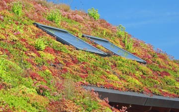 Arean living roof systems